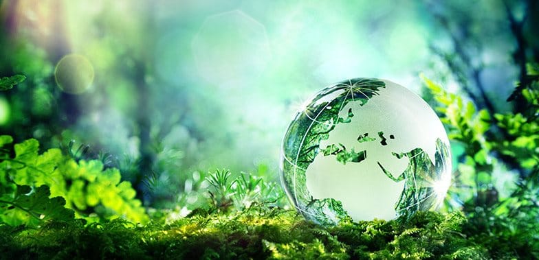 Sustainability in Daily Life