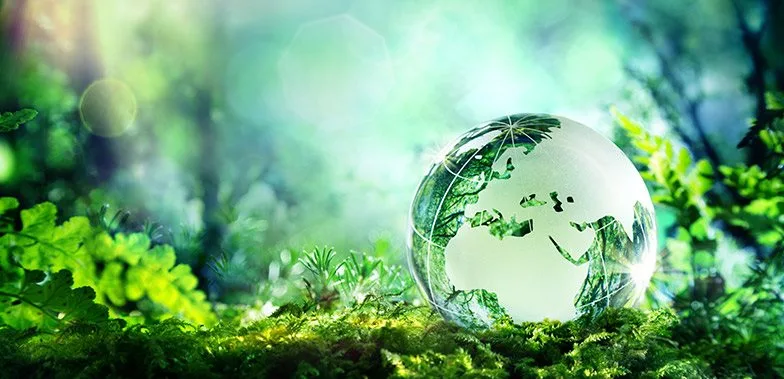 Sustainability in Daily Life