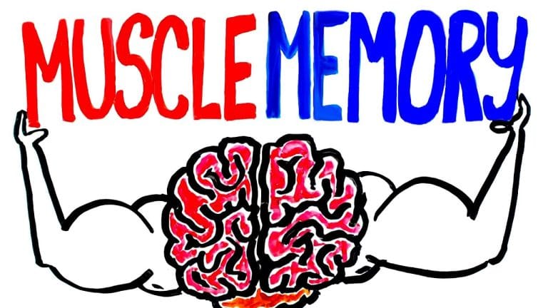 Muscle Memory