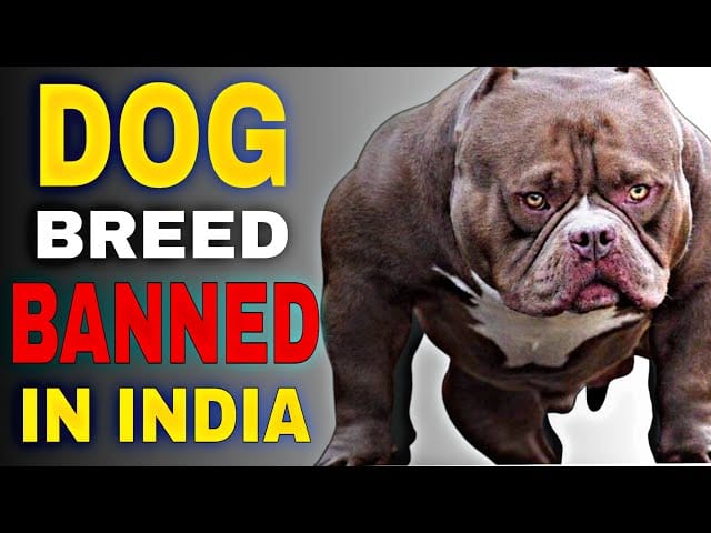 Banned Dog Breeds in India