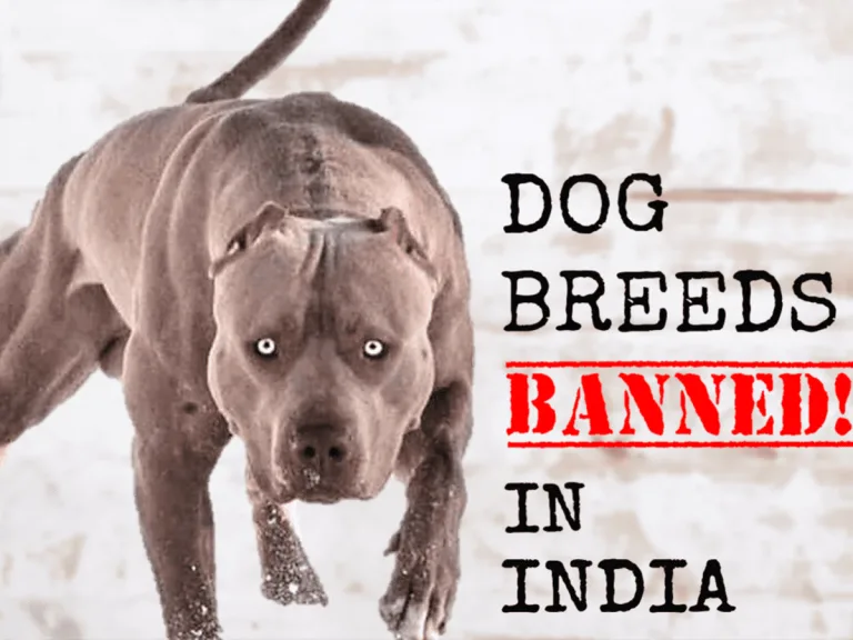 Banned Dog Breeds in India